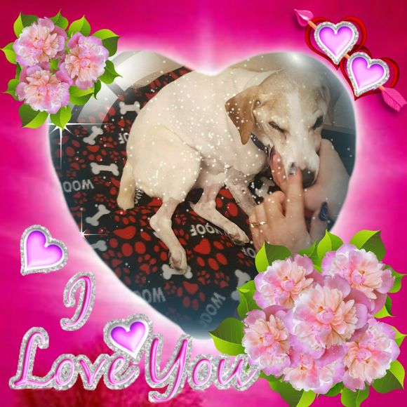 Meet your Posher, Ruth - Picture 1 of 1